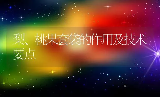 梨、桃果套袋的作用及技术要点 | 瓜果种植