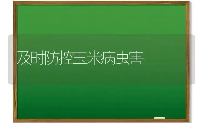 及时防控玉米病虫害 | 种植病虫害防治