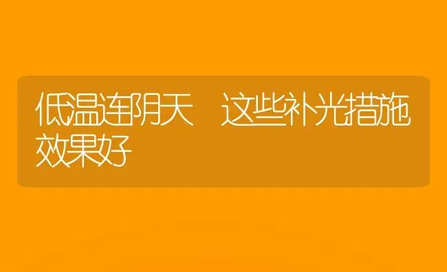 低温连阴天 这些补光措施效果好 | 瓜果种植