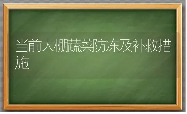 当前大棚蔬菜防冻及补救措施 | 蔬菜种植