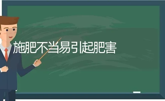 施肥不当易引起肥害 | 种植肥料施肥