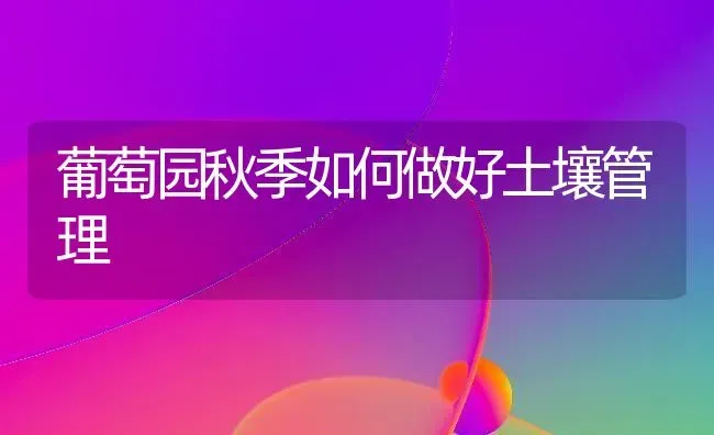 葡萄园秋季如何做好土壤管理 | 瓜果种植