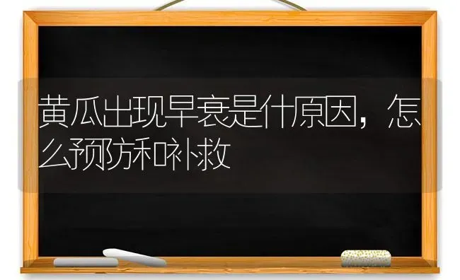黄瓜出现早衰是什原因，怎么预防和补救 | 蔬菜种植