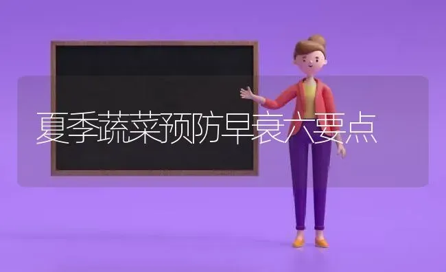 夏季蔬菜预防早衰六要点 | 蔬菜种植