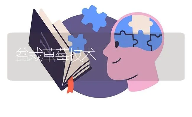 盆栽草莓技术 | 瓜果种植