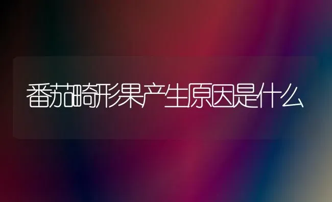番茄畸形果产生原因是什么 | 瓜果种植
