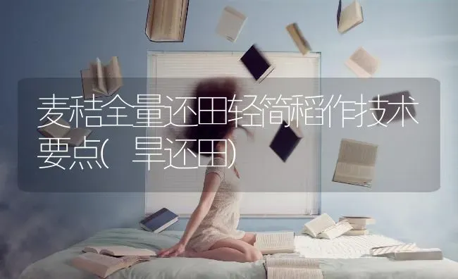 玉米带轴贮存防虫法 | 粮油作物种植