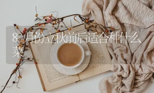 8月份立秋前后适合种什么菜 | 蔬菜种植