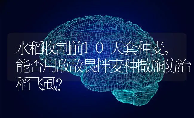 水稻收割前10天套种麦，能否用敌敌畏拌麦种撒施防治稻飞虱？ | 粮油作物种植