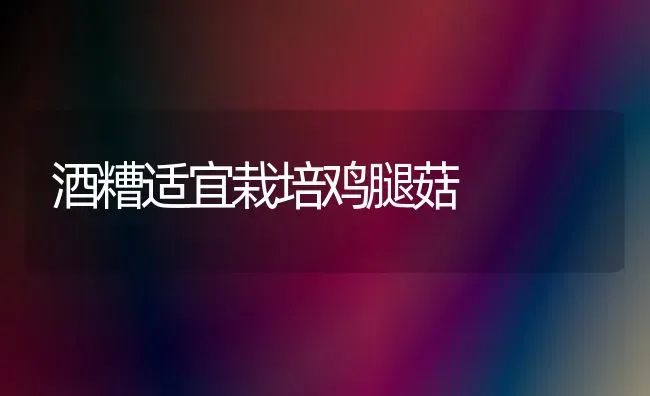 酒糟适宜栽培鸡腿菇 | 食用菌种植
