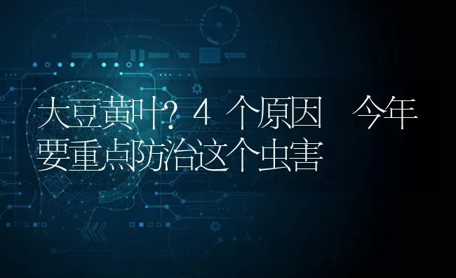 大豆黄叶？4个原因 今年要重点防治这个虫害 | 粮油作物种植