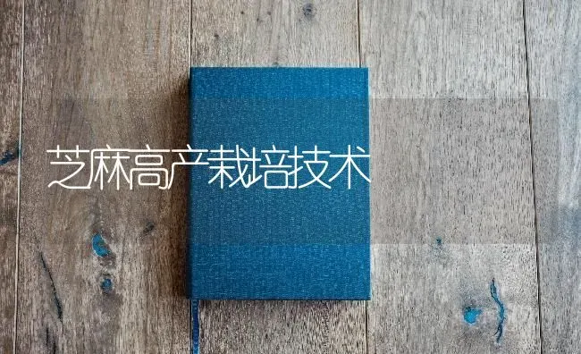 芝麻高产栽培技术 | 粮油作物种植