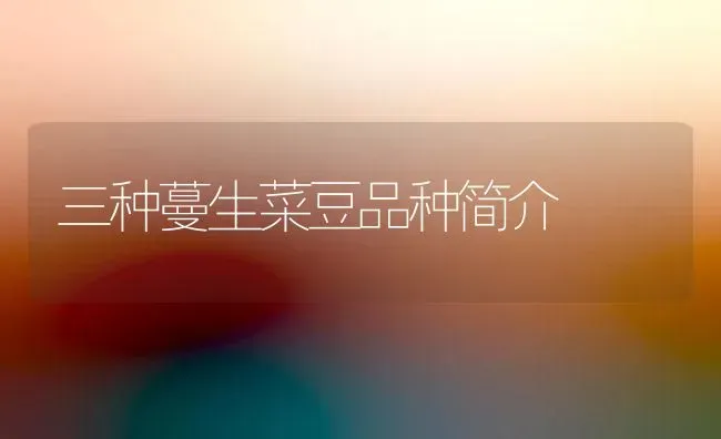 三种蔓生菜豆品种简介 | 蔬菜种植