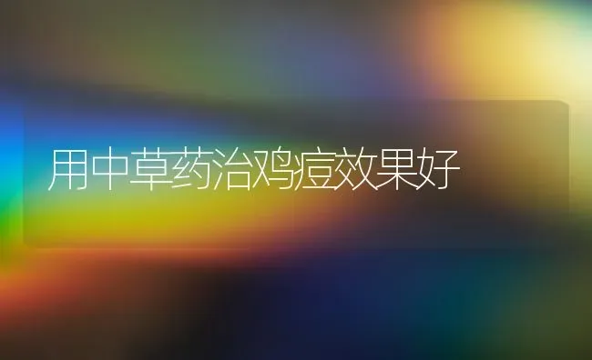 用中草药治鸡痘效果好 | 瓜果种植