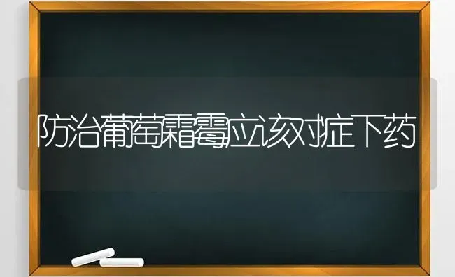 防治葡萄霜霉应该对症下药 | 瓜果种植