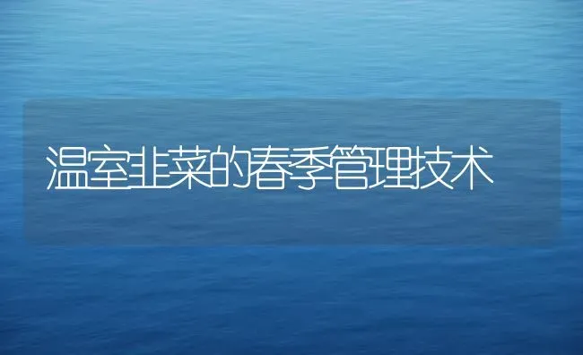 温室韭菜的春季管理技术 | 蔬菜种植