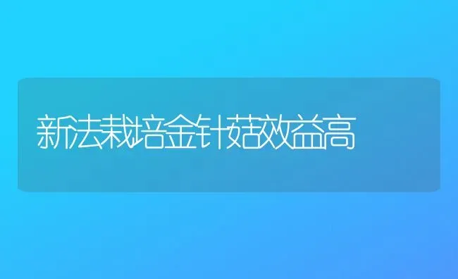 新法栽培金针菇效益高 | 食用菌种植