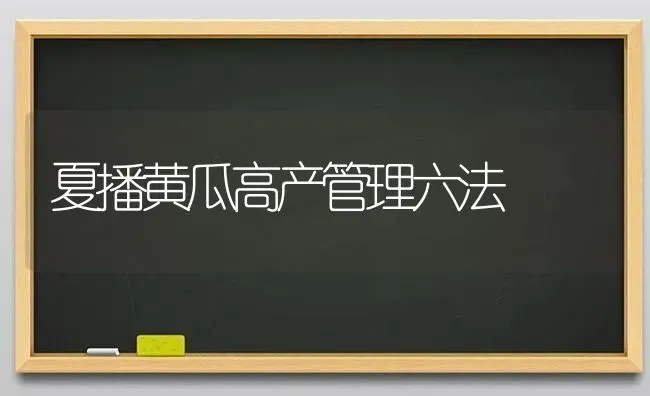 夏播黄瓜高产管理六法 | 蔬菜种植