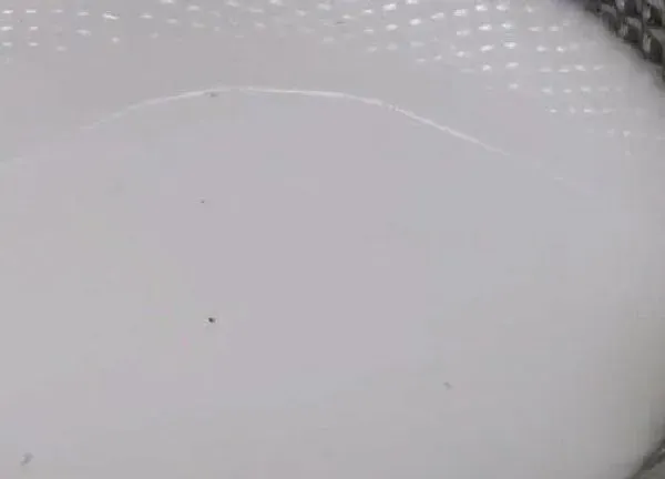 植物浇水|淘米水能浇花吗 浇花正确方法