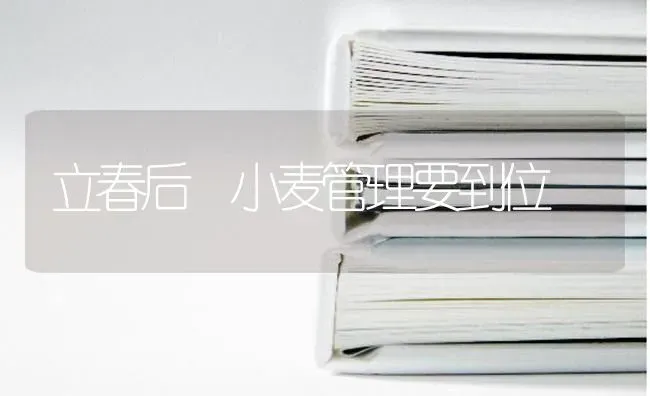立春后 小麦管理要到位 | 粮油作物种植