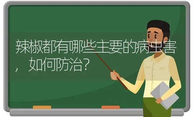 辣椒都有哪些主要的病虫害,如何防治？ | 种植病虫害防治