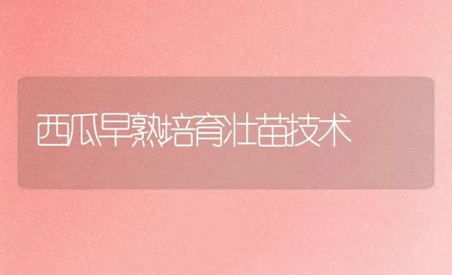 西瓜早熟培育壮苗技术 | 瓜果种植