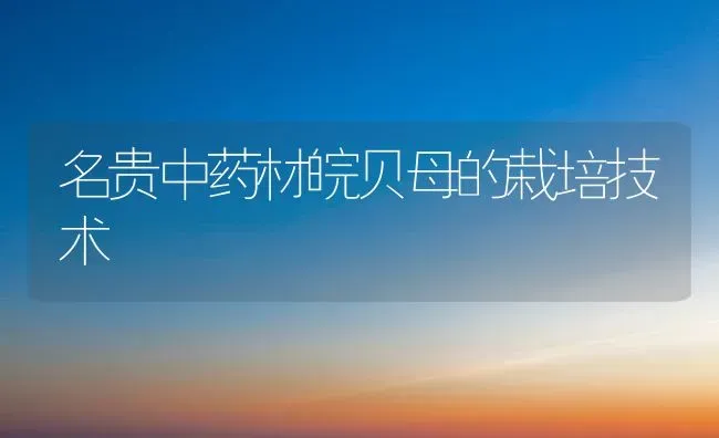 名贵中药材皖贝母的栽培技术 | 药材种植