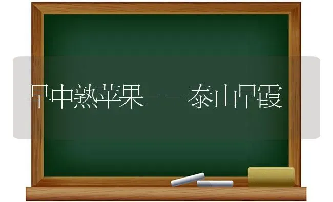 早中熟苹果--泰山早霞 | 瓜果种植
