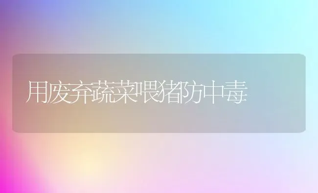 用废弃蔬菜喂猪防中毒 | 蔬菜种植