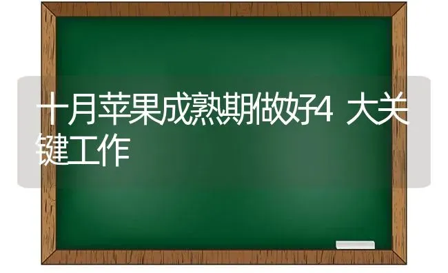 十月苹果成熟期做好4大关键工作 | 瓜果种植