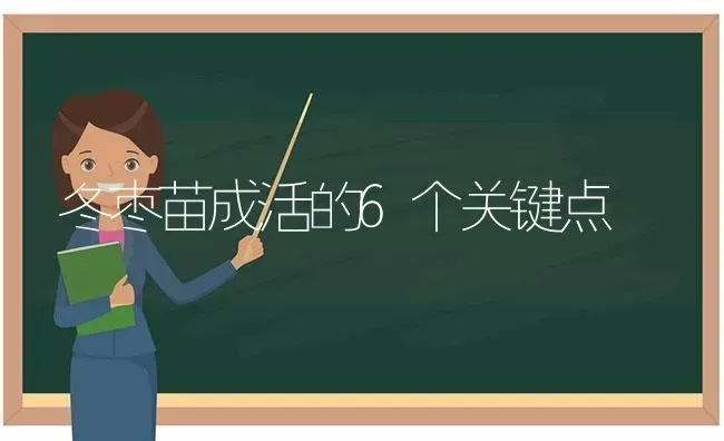 冬枣苗成活的6个关键点 | 瓜果种植