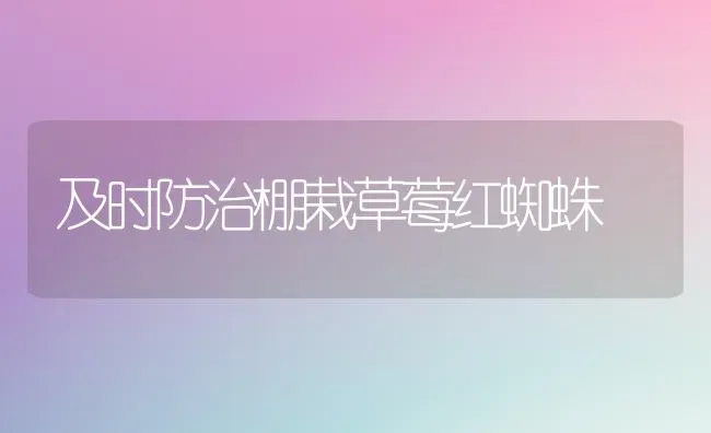 及时防治棚栽草莓红蜘蛛 | 瓜果种植