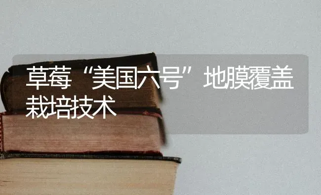 草莓“美国六号”地膜覆盖栽培技术 | 瓜果种植