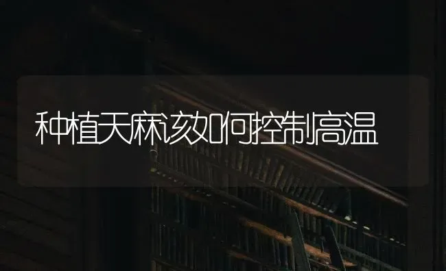 种植天麻该如何控制高温 | 植物种植百科
