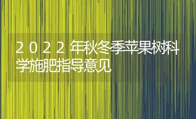 2022年秋冬季苹果树科学施肥指导意见 | 瓜果种植