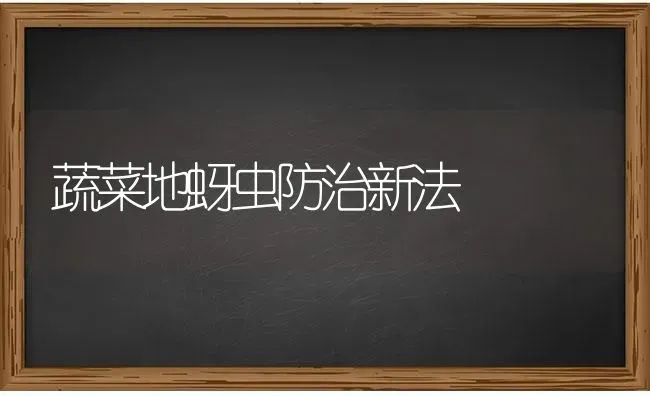 蔬菜地蚜虫防治新法 | 蔬菜种植