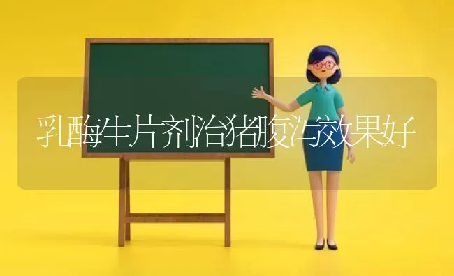 乳酶生片剂治猪腹泻效果好 | 瓜果种植