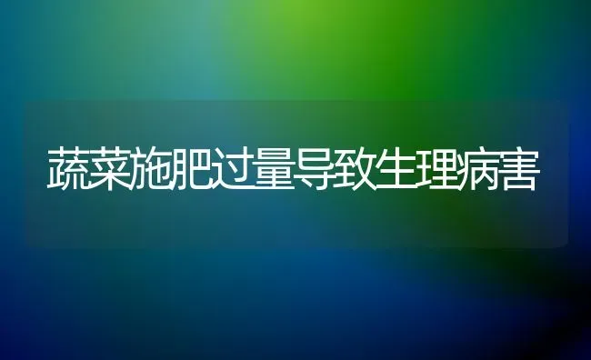 早春蔬菜须防倒春寒 | 蔬菜种植
