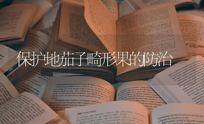 保护地茄子畸形果的防治 | 瓜果种植