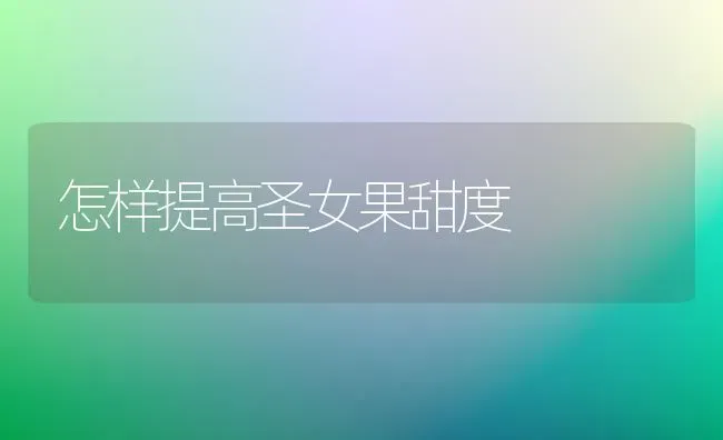 怎样提高圣女果甜度 | 瓜果种植