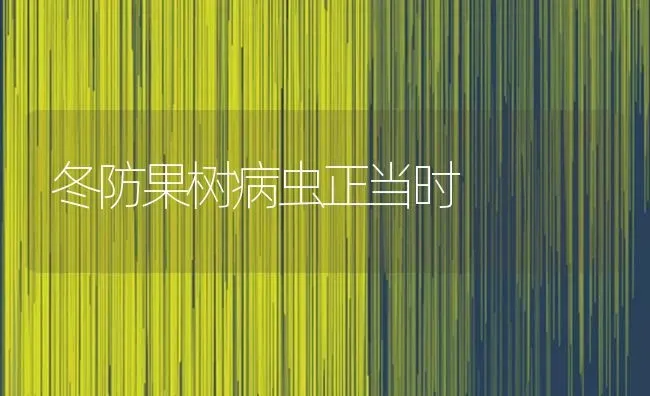 冬防果树病虫正当时 | 瓜果种植