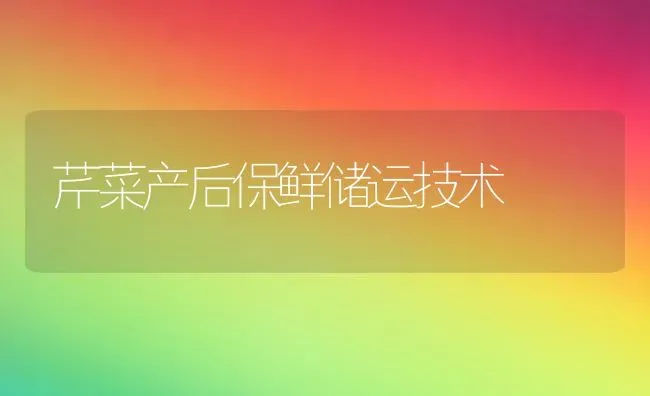 芹菜产后保鲜储运技术 | 蔬菜种植