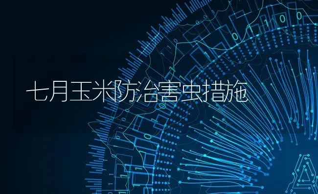 七月玉米防治害虫措施 | 粮油作物种植