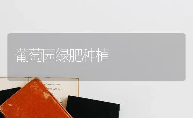 葡萄园绿肥种植 | 植物种植百科