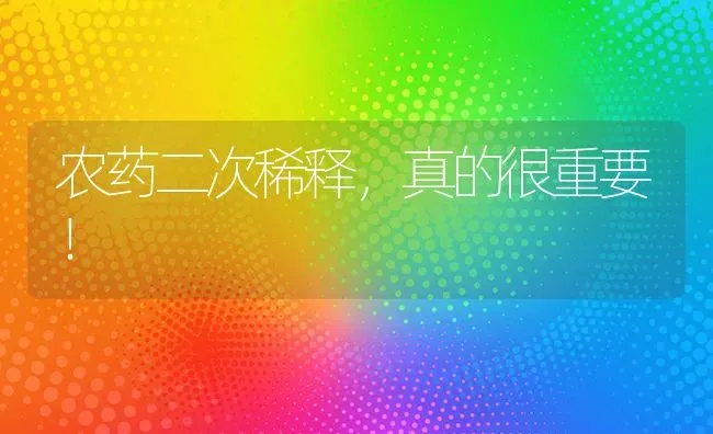 农药二次稀释，真的很重要！ | 种植病虫害防治