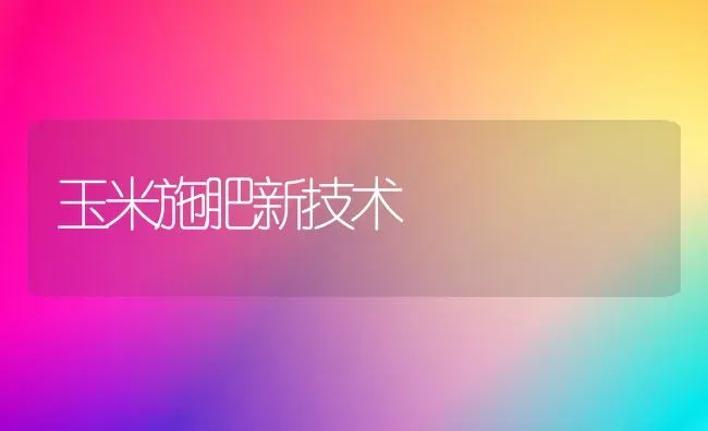 玉米施肥新技术 | 种植肥料施肥