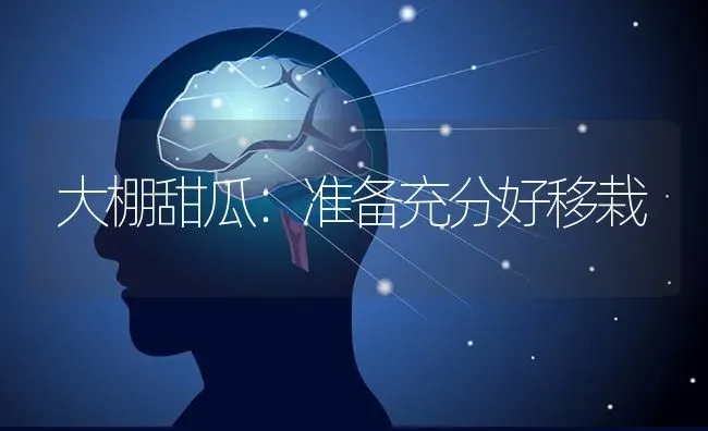 大棚甜瓜：准备充分好移栽 | 瓜果种植