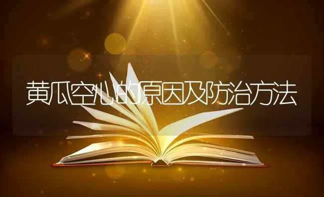 黄瓜空心的原因及防治方法 | 蔬菜种植