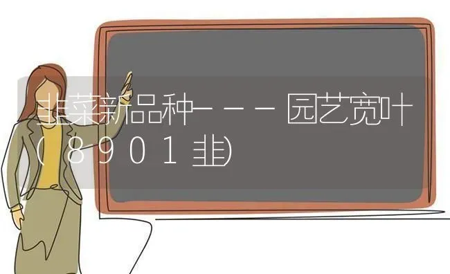 韭菜新品种---园艺宽叶(8901韭) | 蔬菜种植