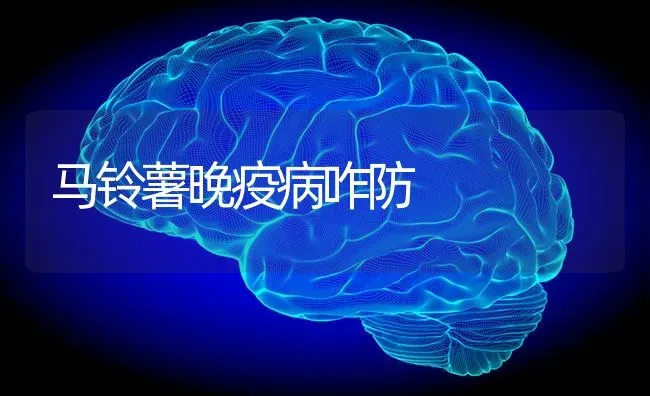 马铃薯晚疫病咋防 | 粮油作物种植